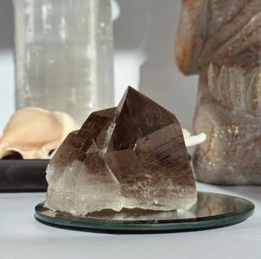 New Project (32) (3)