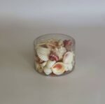 Seashell and Corals Pink - Image 4