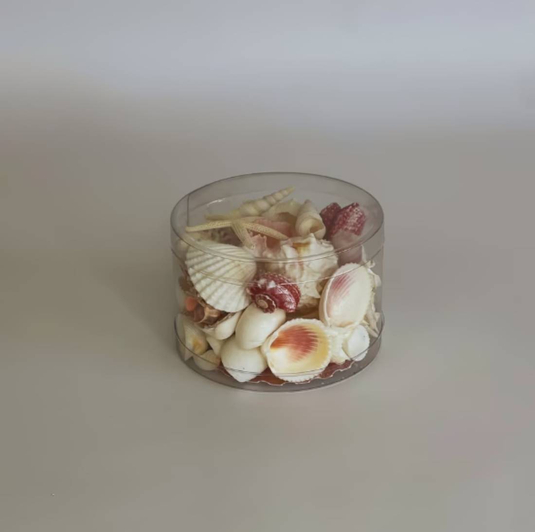 New Project (32) (3)