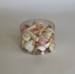 Seashell and Corals Pink - Image 5