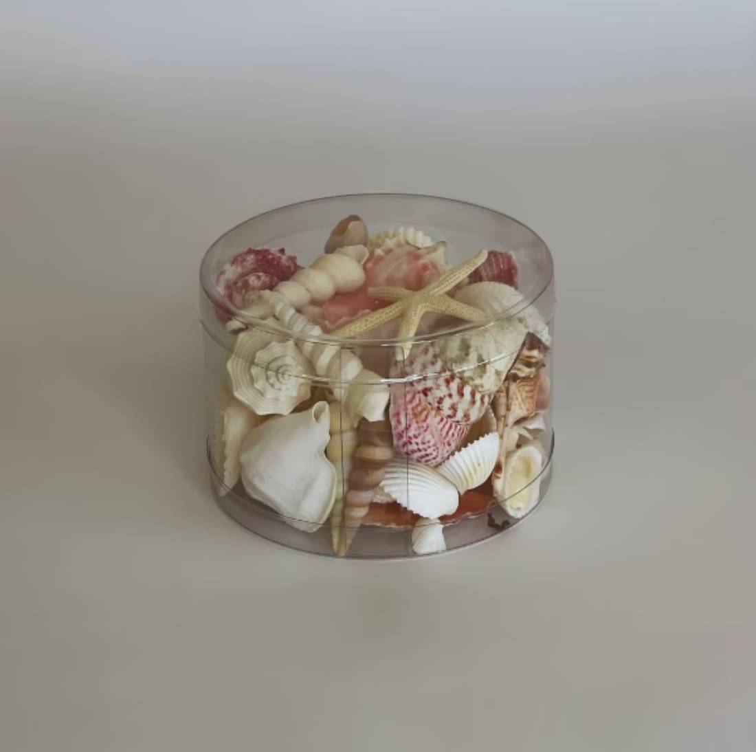 New Project (32) (4)