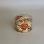 Seashell and Corals Pink