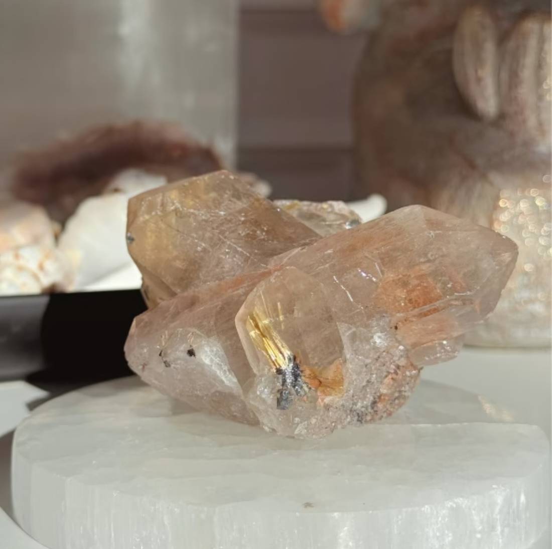 New Project (32) (7)