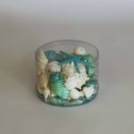 Seashell and Corals Turquoise - Image 4
