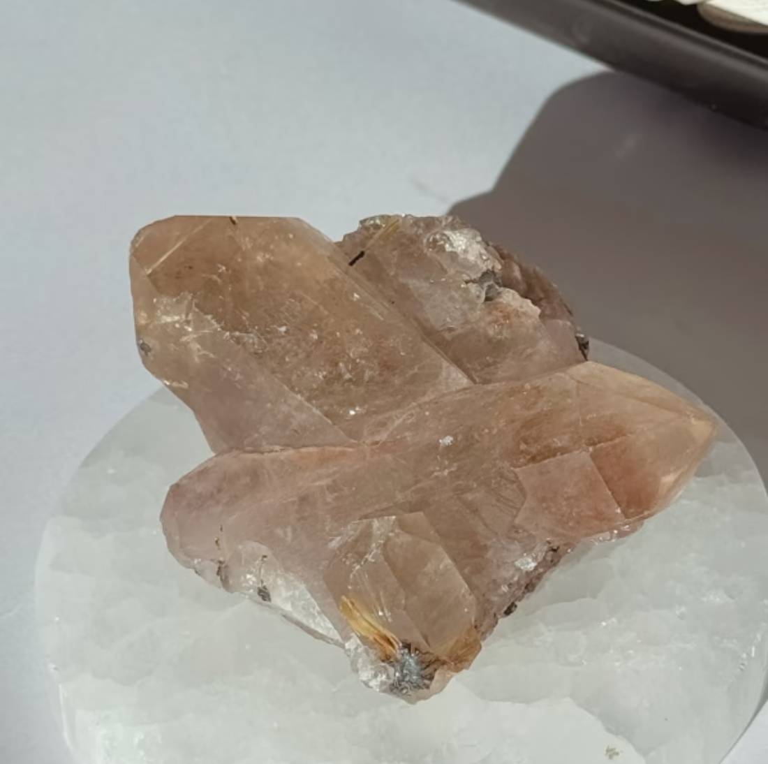 New Project (32) (8)