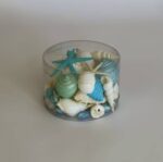 Seashell and Corals Turquoise - Image 2