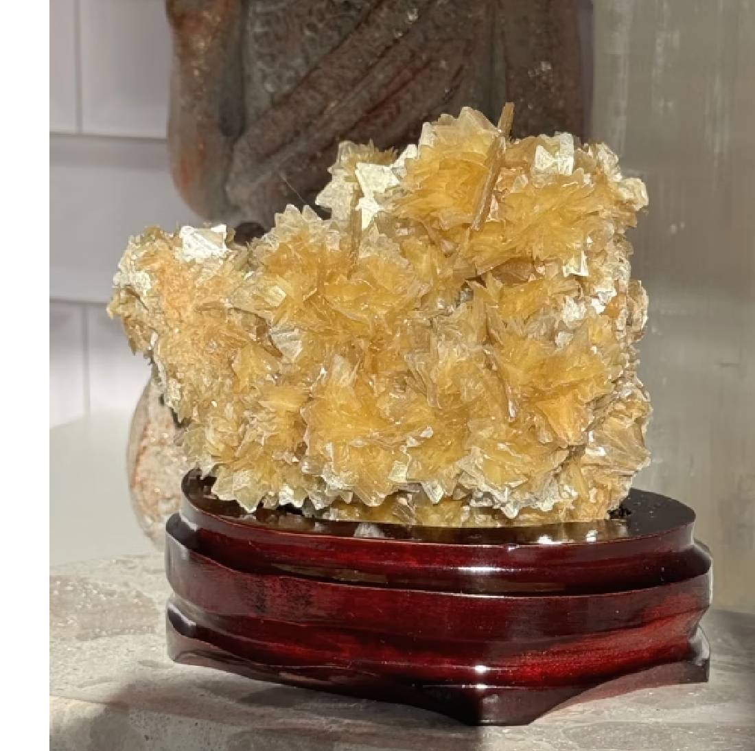 New Project (32) (9)