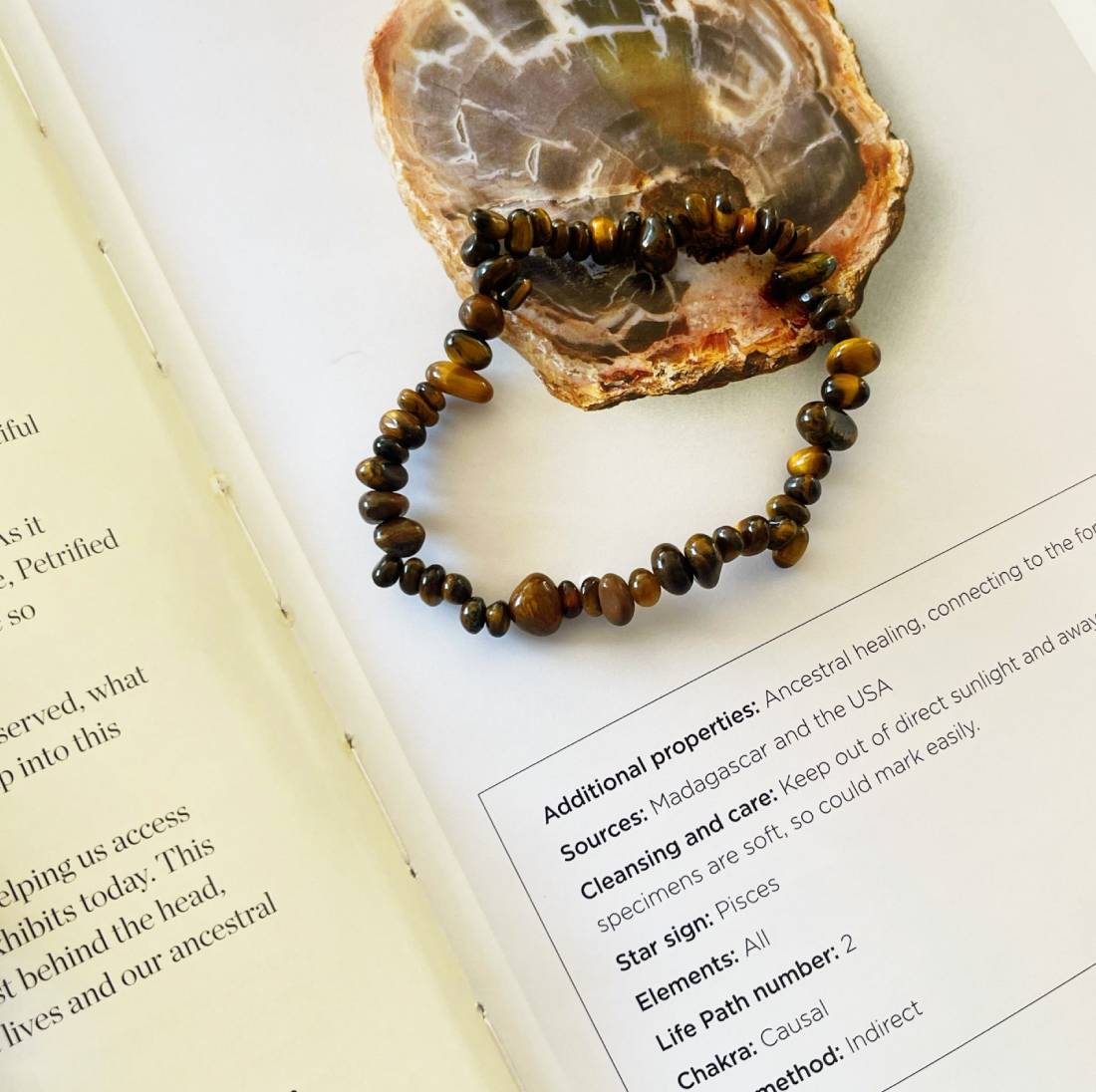 New Project (36) (11) (1)