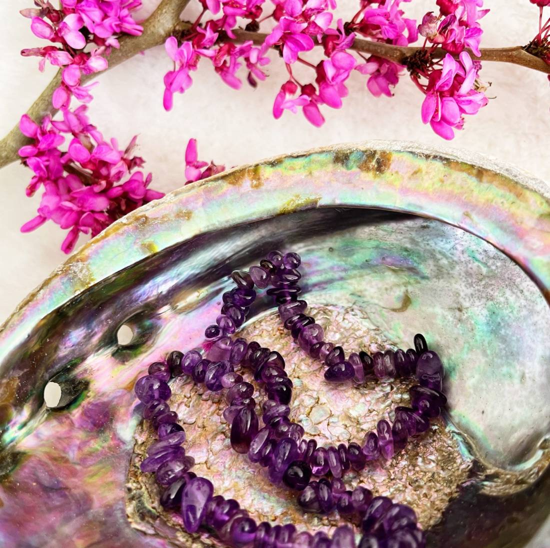 New Project (36) (12)