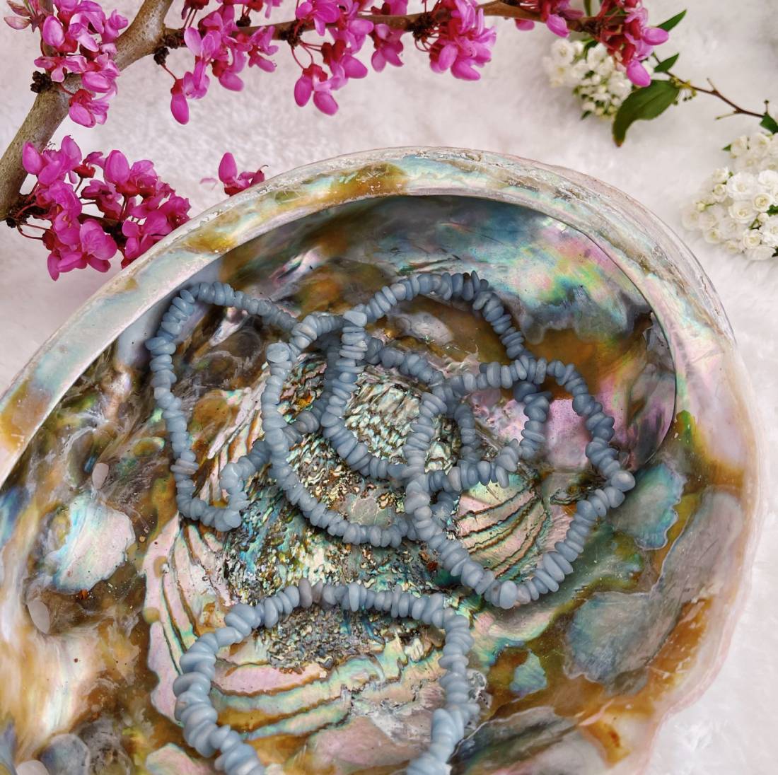 New Project (36) (21)