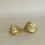 Conch Shell - Image 3