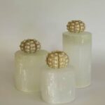 Sea Urchin Shell - Image 3