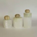 Sea Urchin Shell - Image 2