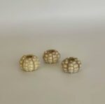 Sea Urchin Shell