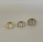 Sea Urchin Shell Small - Image 2