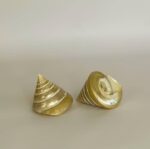 Conch Shell - Image 2