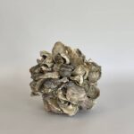 Oyster Shell Sphere - Image 3