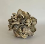 Oyster Shell Sphere - Image 2