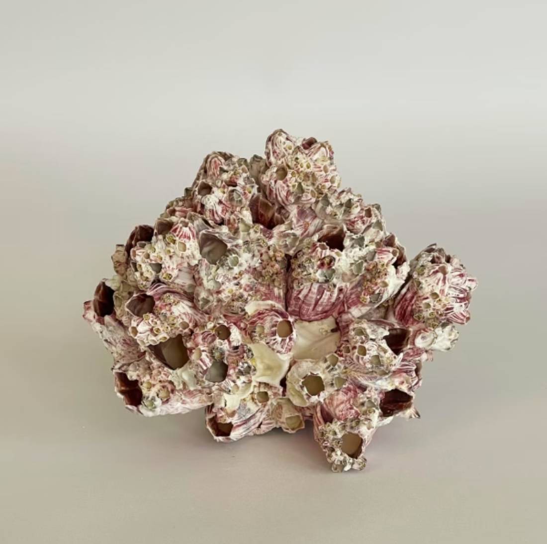 New Project (4) (47)