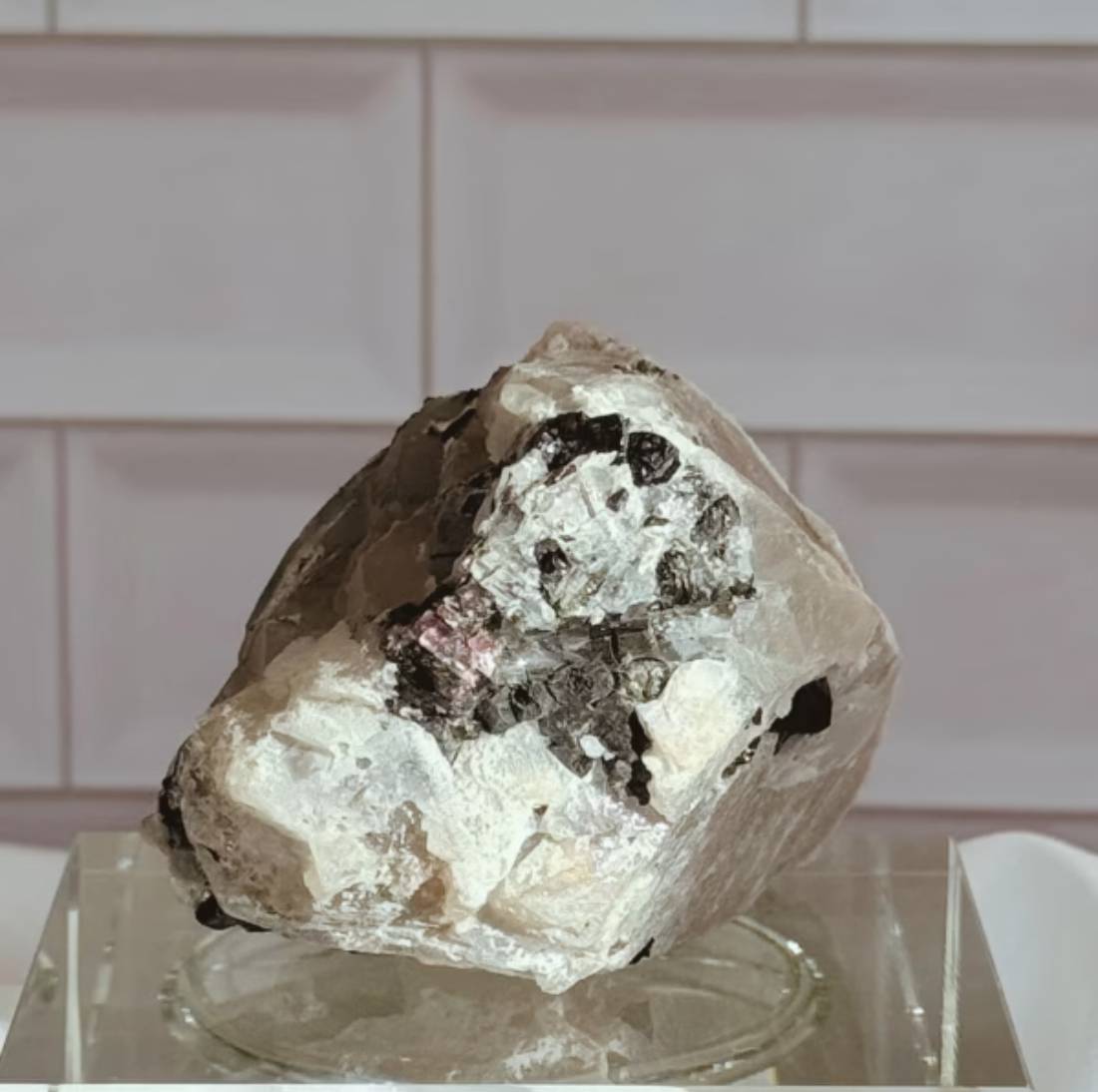 New Project (4) (6) (15)