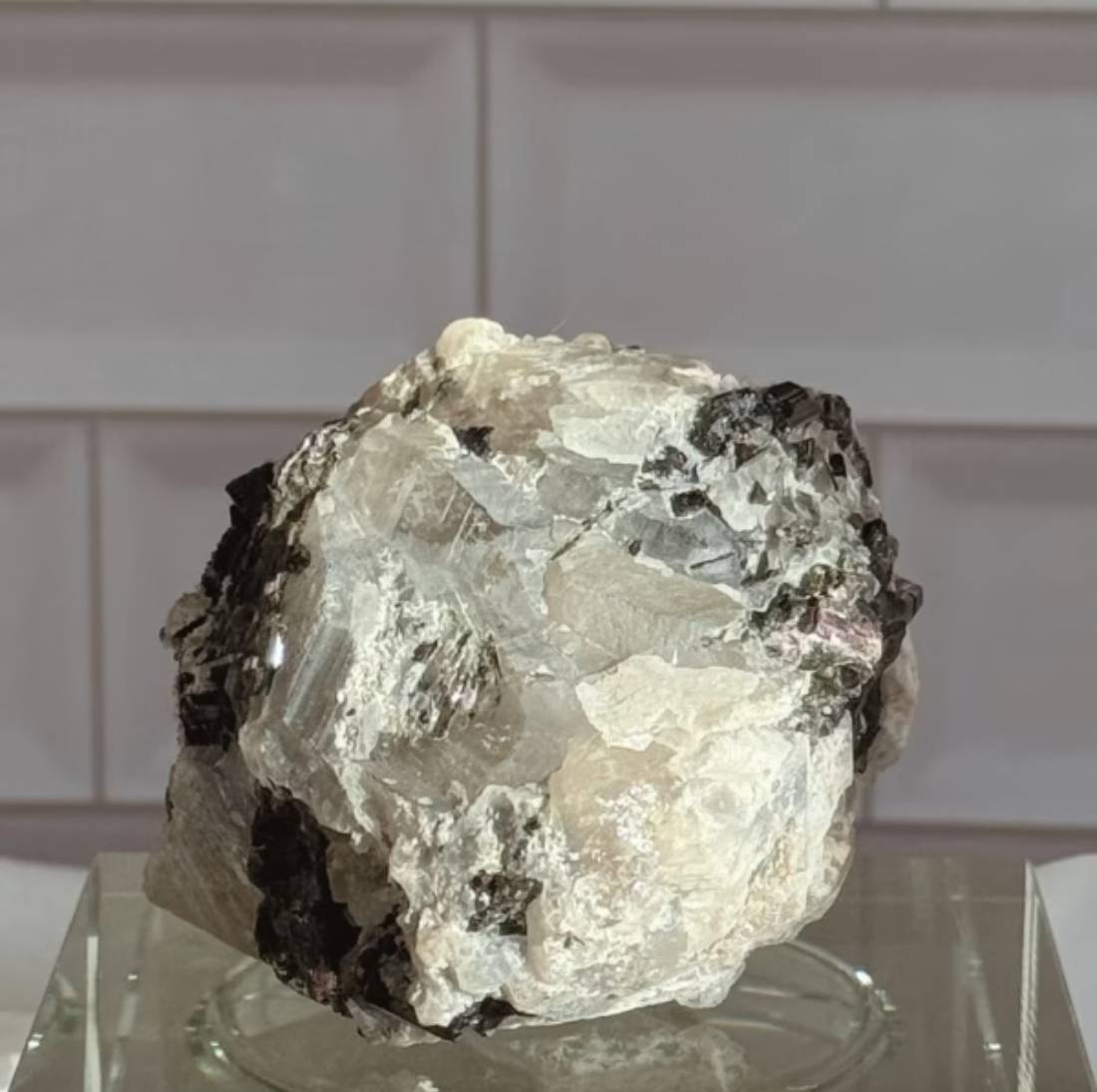 New Project (4) (6) (17)