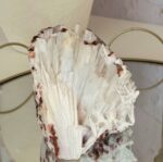 Scolecite Specimen - Image 6