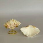 Scallop Shell