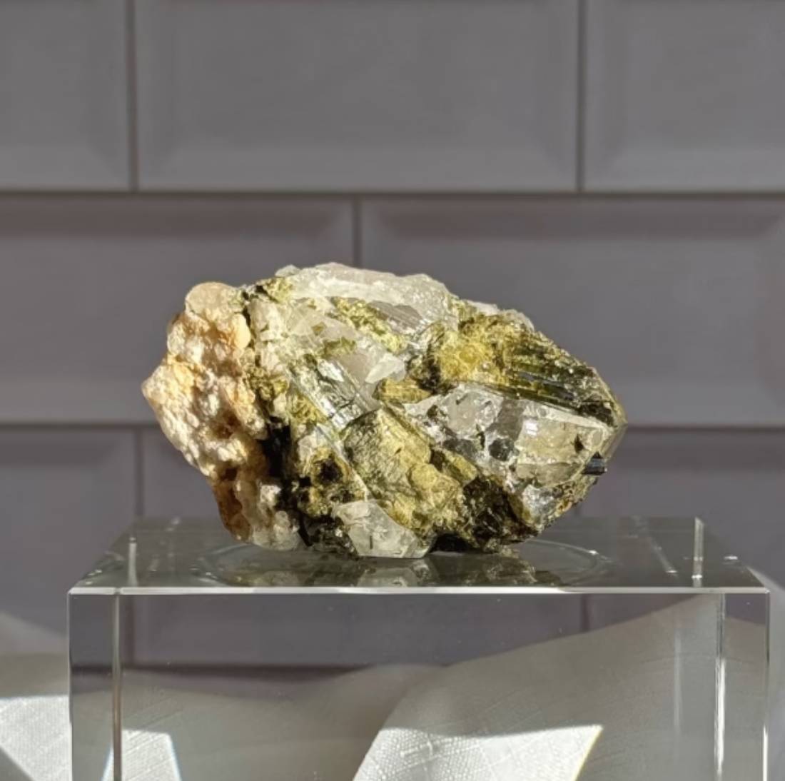 New Project (4) (67)