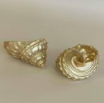 Golden Conch Shell - Image 3