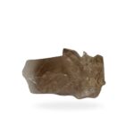 Smoky Quartz with Golden Rutile