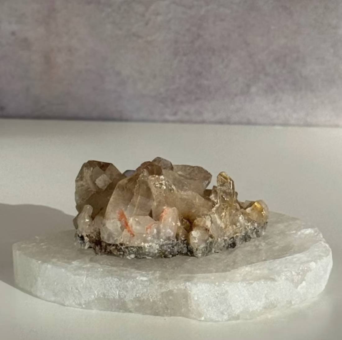 New Project (4) (78)