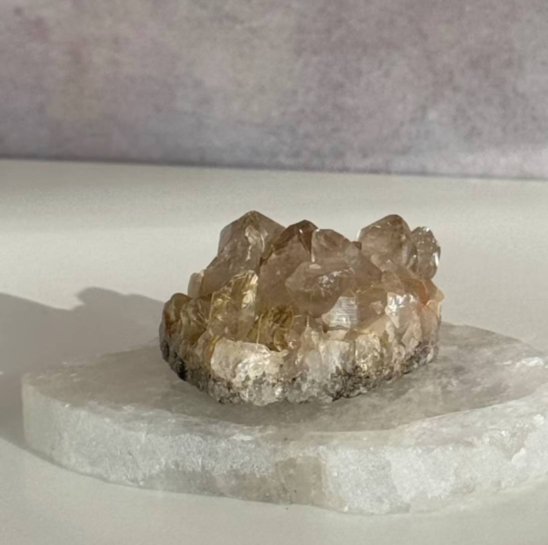 New Project (4) (79)