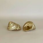 Golden Conch Shell
