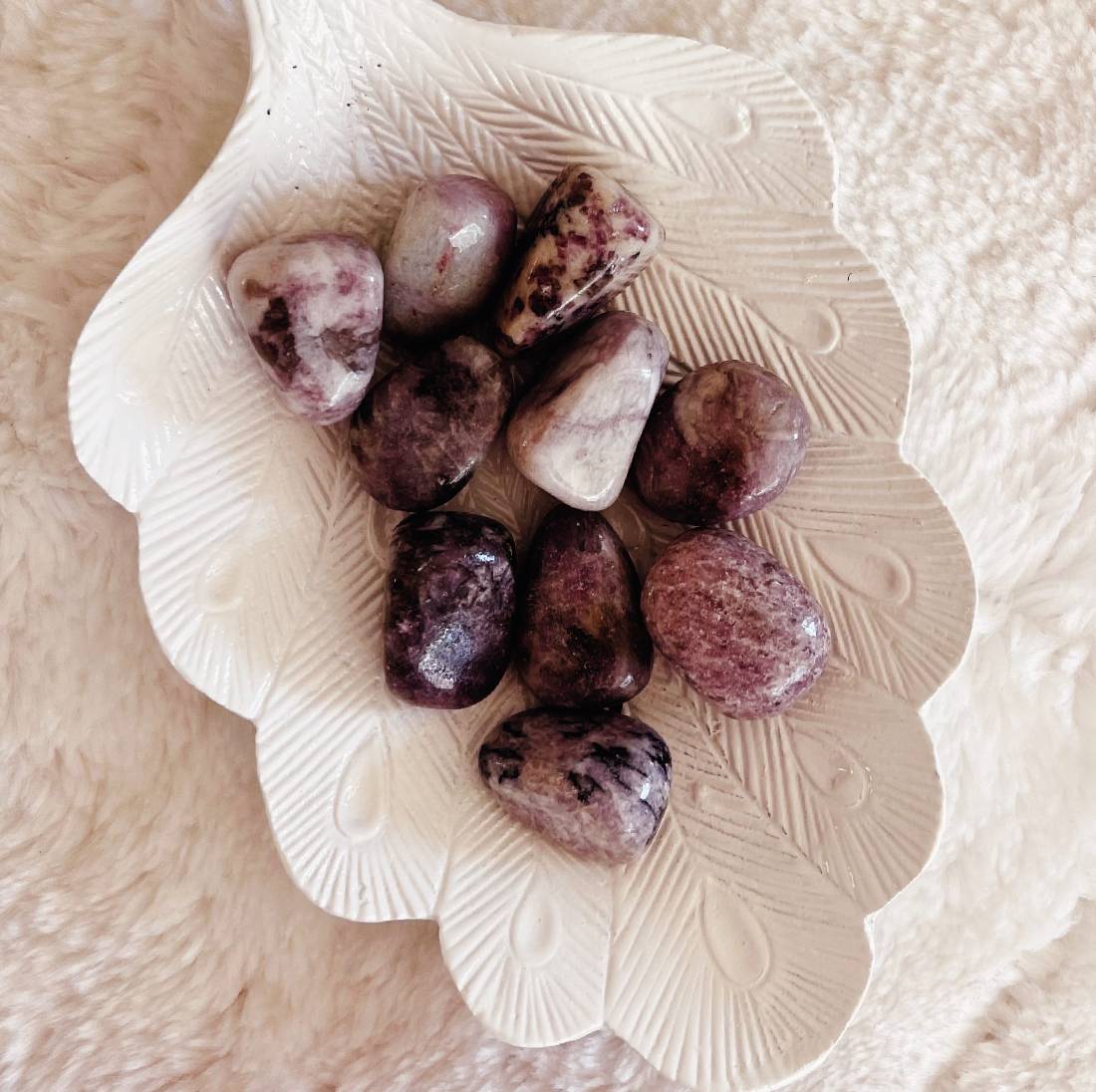 New Project (57) (1) (11)