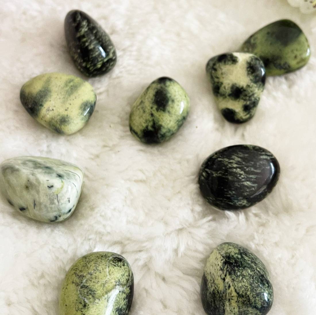 New Project (57) (1) (18) (17) (13)