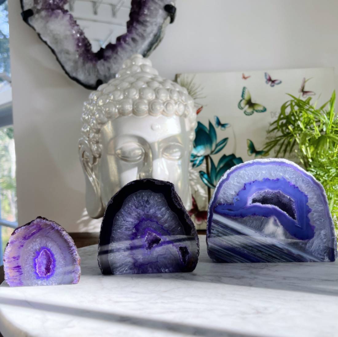 New Project (57) (1) (18) (17) (49)