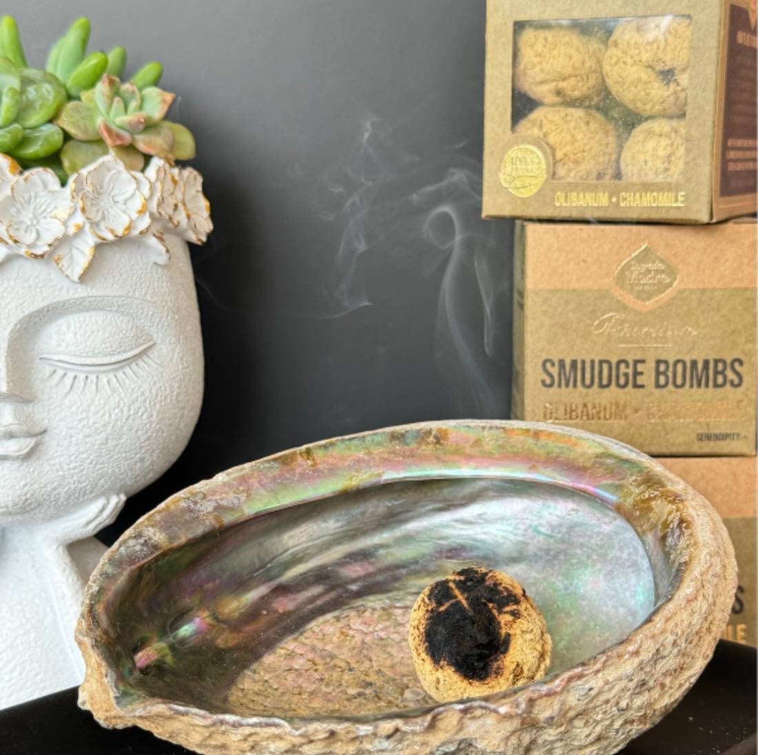 New Project (57) (1) (18) (17) (8) (24) (12)