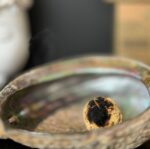 Chamomile Smudge Bomb - Image 3