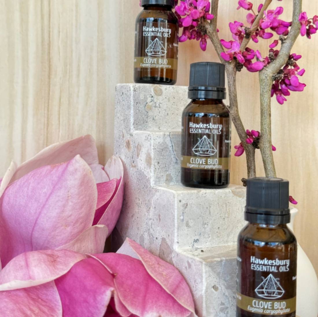 New Project (57) (1) (18) (17) (8) (24) (26)