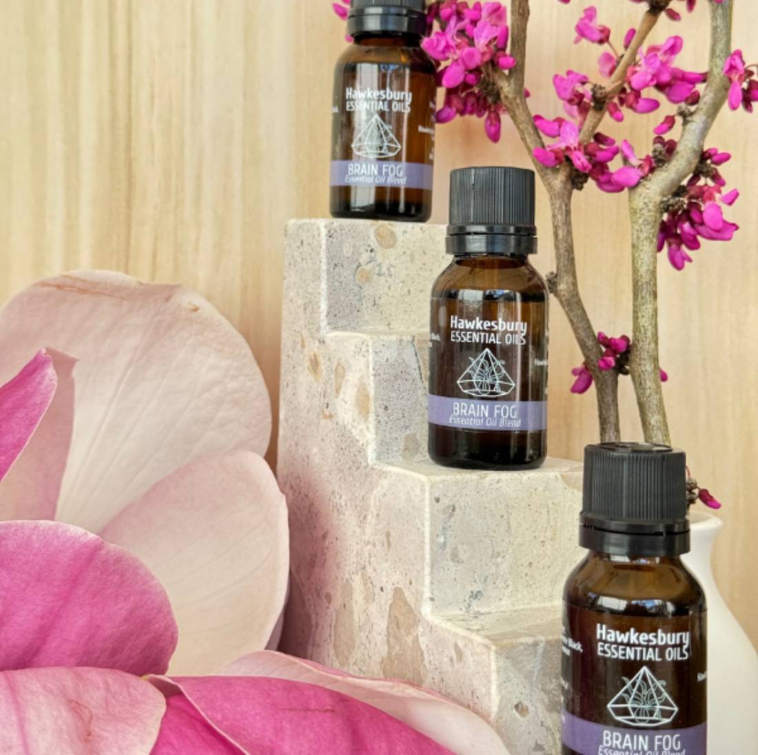 New Project (57) (1) (18) (17) (8) (24) (40)