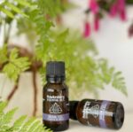 Brain Fog Essential Oil Blend