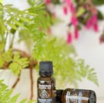 Frankincense Essential Oilf