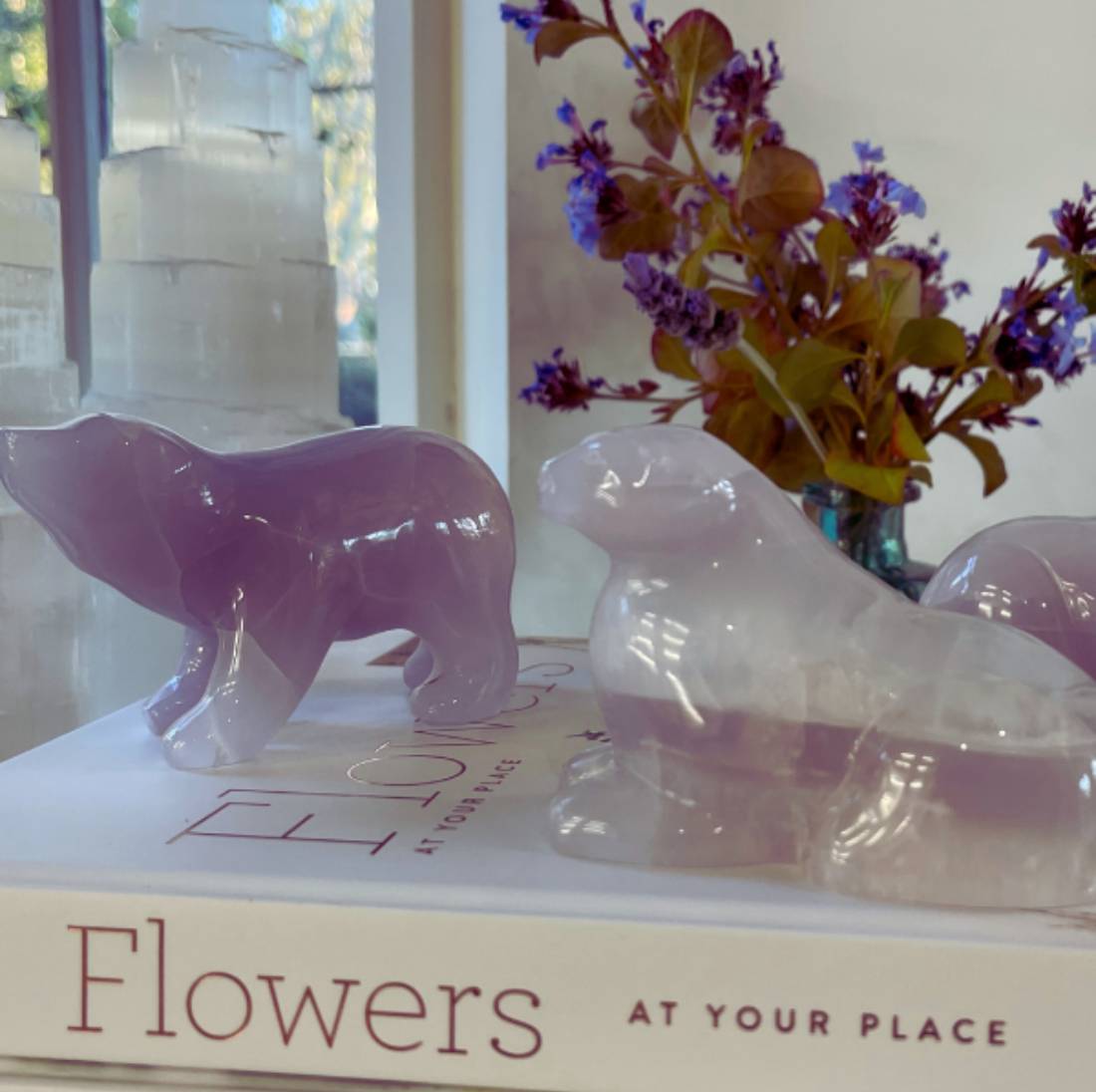 New Project (57) (1) (18) (17) (8) (24) (92) (79) (24)