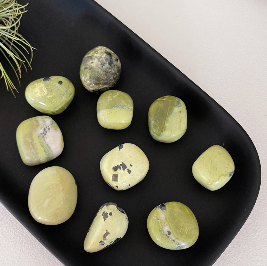 New Project (57) (1) (18) (19)