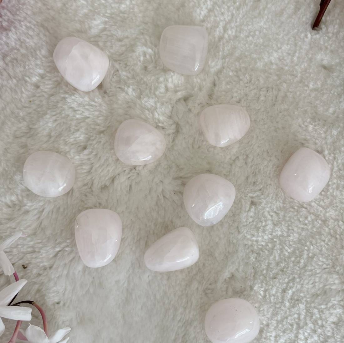 New Project (57) (1) (18) (2)