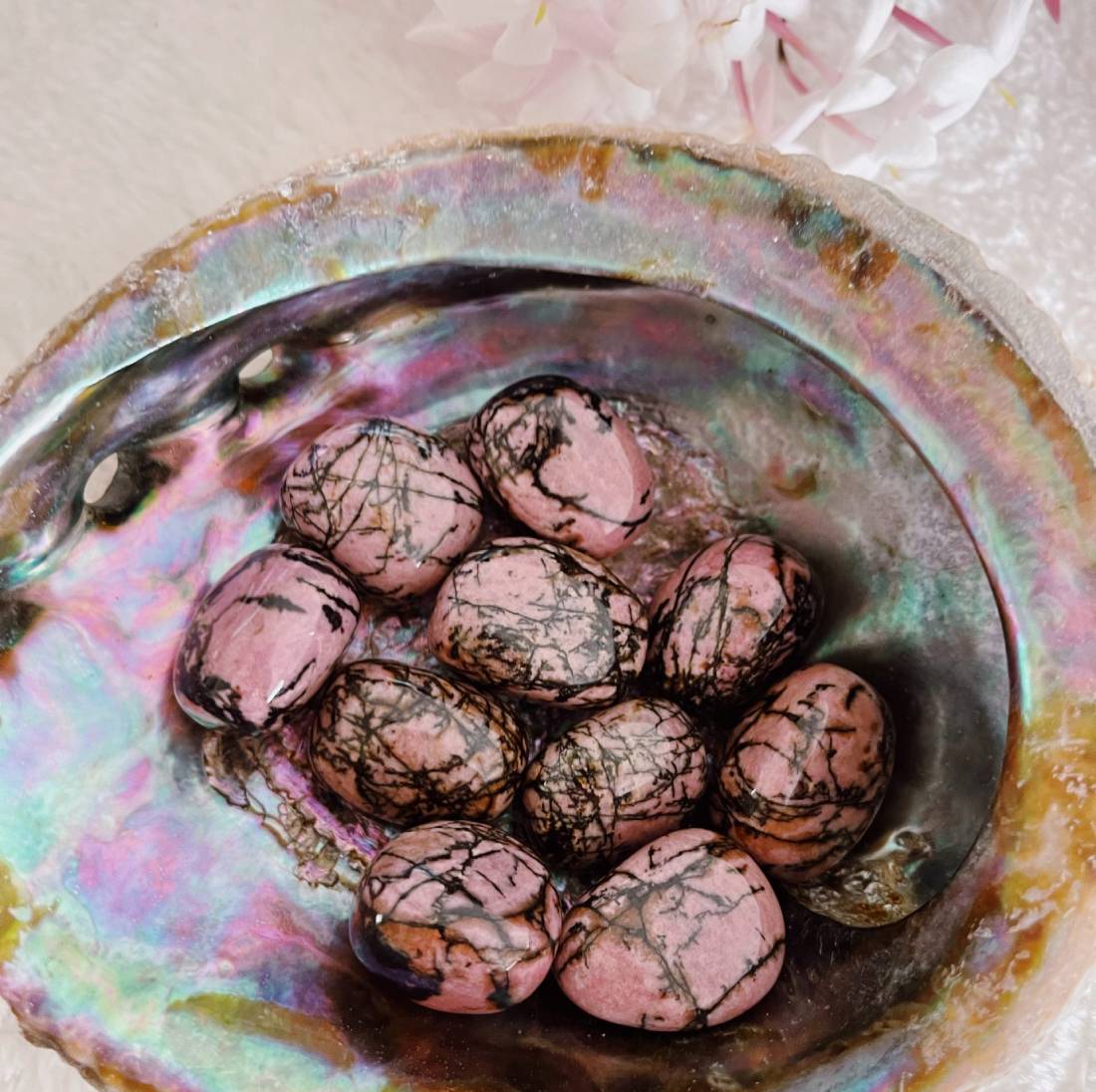 New Project (57) (1) (18) (38)