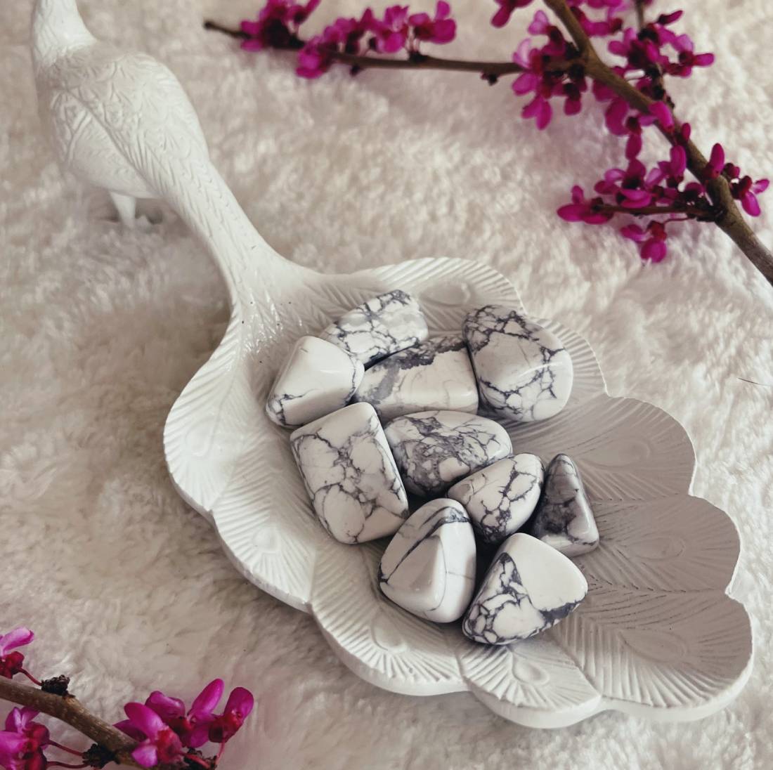 New Project (57) (1) (18) (43)