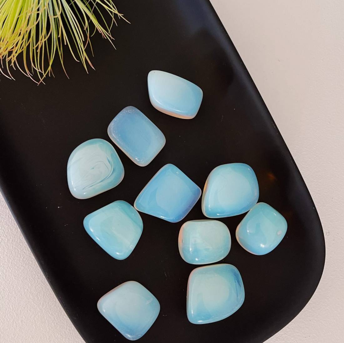 New Project (57) (1) (18) (48)