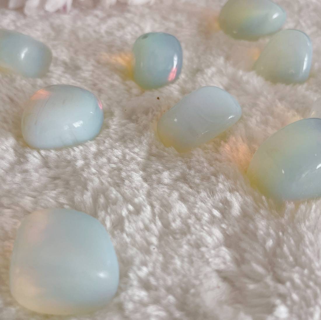 New Project (57) (1) (18) (50)