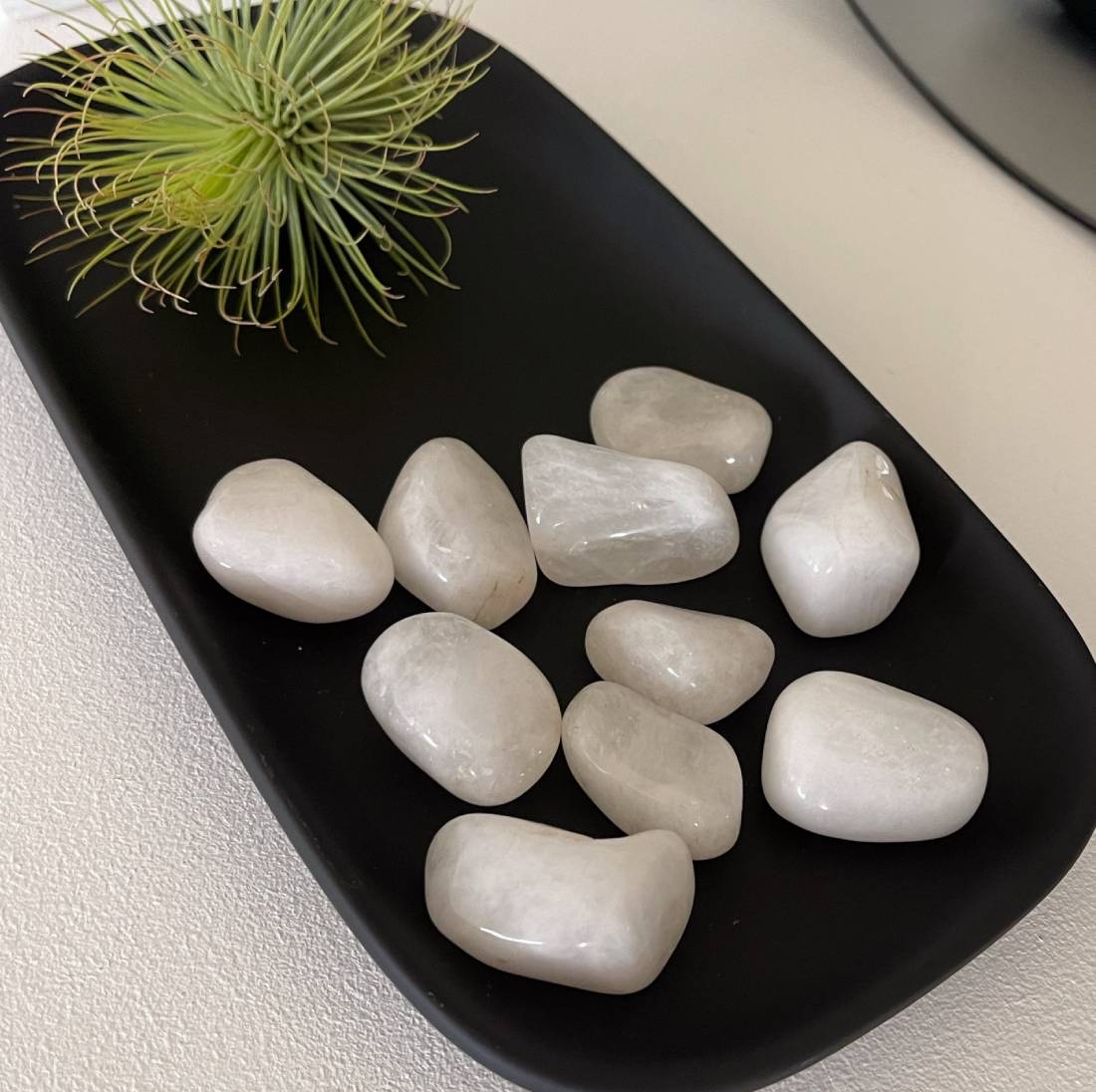 New Project (57) (1) (18) (59)